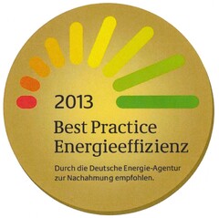 2013 Best Practice Energieeffizienz