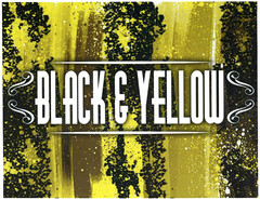 BLACK & YELLOW