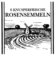 6 KNUSPERFRISCHE ROSENSEMMELN