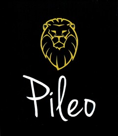 Pileo