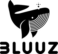 BLUUZ