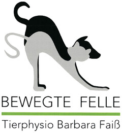 BEWEGTE FELLE Tierphysio Barbara Faiß