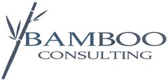 BAMBOO CONSULTING
