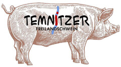 TEMNITZER FREILANDSCHWEIN