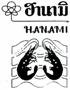 HANAMI