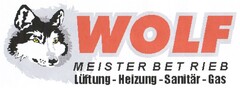 WOLF MEISTERBETRIEB Lüftung-Heizung-Sanitär-Gas