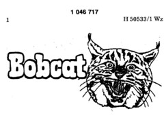 Bobcat