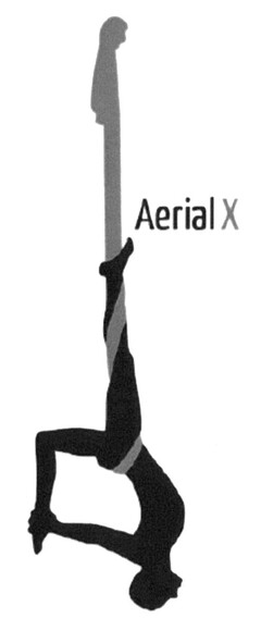 AerialX