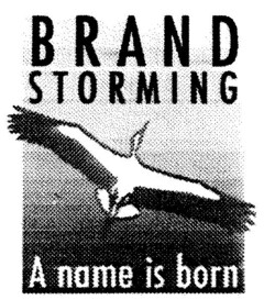 BRAND STORMING A name is born