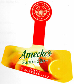 Amecke's Sanfte Säfte OHNE ZUCKERZUSATZ