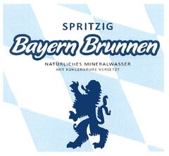 SPRITZIG Bayern Brunnen NATÜRLICHES MINERALWASSER MIT KOHLENSÄURE VERSETZT