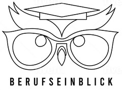 BERUFSEINBLICK