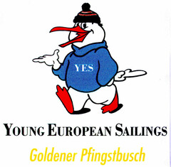 YOUNG EUROPEAN SAILINGS Goldener Pfingstbusch