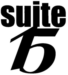 suite 15