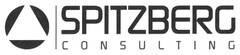 SPITZBERG CONSULTING