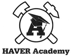 HAVER Academy