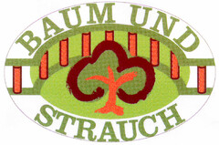 BAUM UND STRAUCH