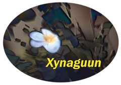 Xynaguun