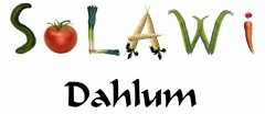 SoLAWi Dahlum