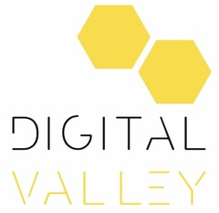 DIGITAL VALLEY