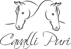Cavalli Puri