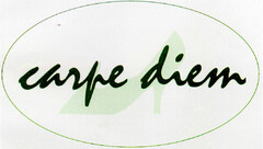 carpe diem