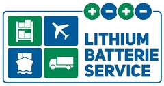 LITHIUM BATTERIE SERVICE