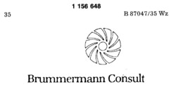 Brummermann Consult