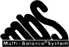 Multi-Balance-System