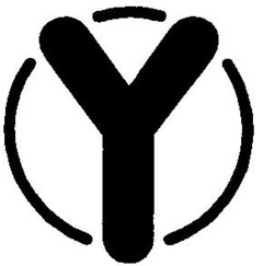 Y