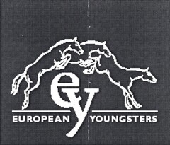 ey EUROPEAN YOUNGSTERS