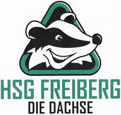 HSG FREIBERG DIE DACHSE