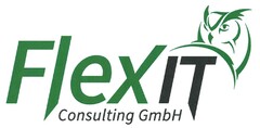 Flex IT Consulting GmbH