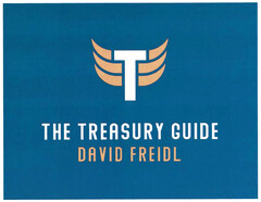 THE TREASURY GUIDE DAVID FREIDL