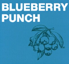 BLUEBERRY PUNCH