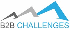 B2B CHALLENGES