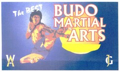 The BEST BUDO MARTIAL ARTS