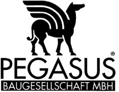 PEGASUS BAUGESELLSCHAFT MBH