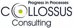 Progress in Processes COLLOSSUS Consulting