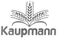 Kaupmann