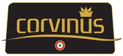 corvinus