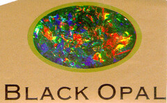 BLACK OPAL