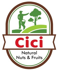 Cici Natural Nuts & Fruits