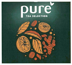 pure TEA SELECTION