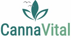 CannaVital