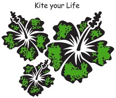 Kite your Life