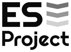 ES Project
