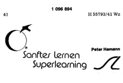 Peter Hamann Sanftes Lernen Superlearning