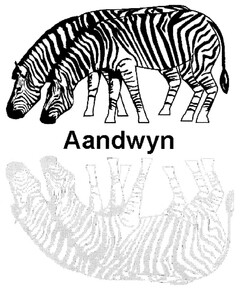 Aandwyn