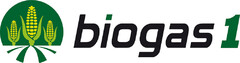 biogas 1